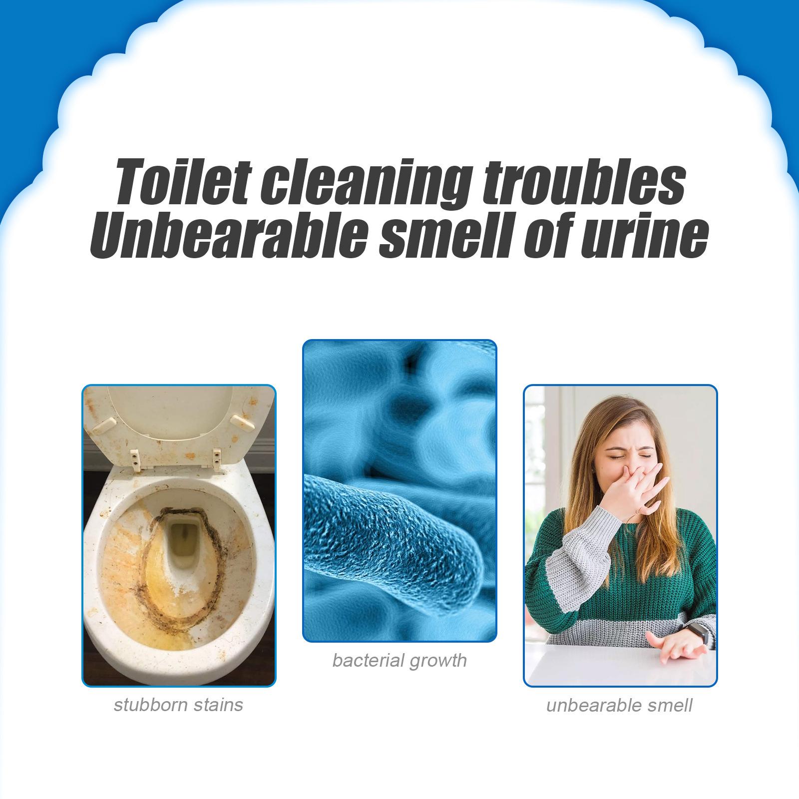 Toilettenreiniger-Pulver, Tief – Home Bathroom Cleaning Solution Bewertung und Preis